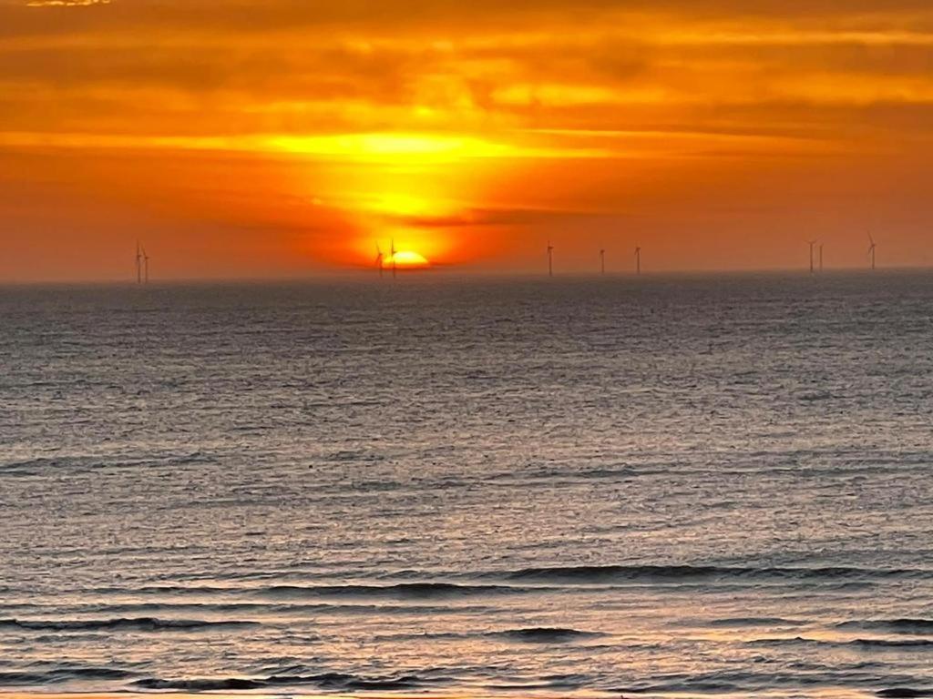 Strandhuis Egmond aan Zee Eksteriør bilde